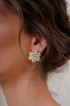 Nuances Earrings